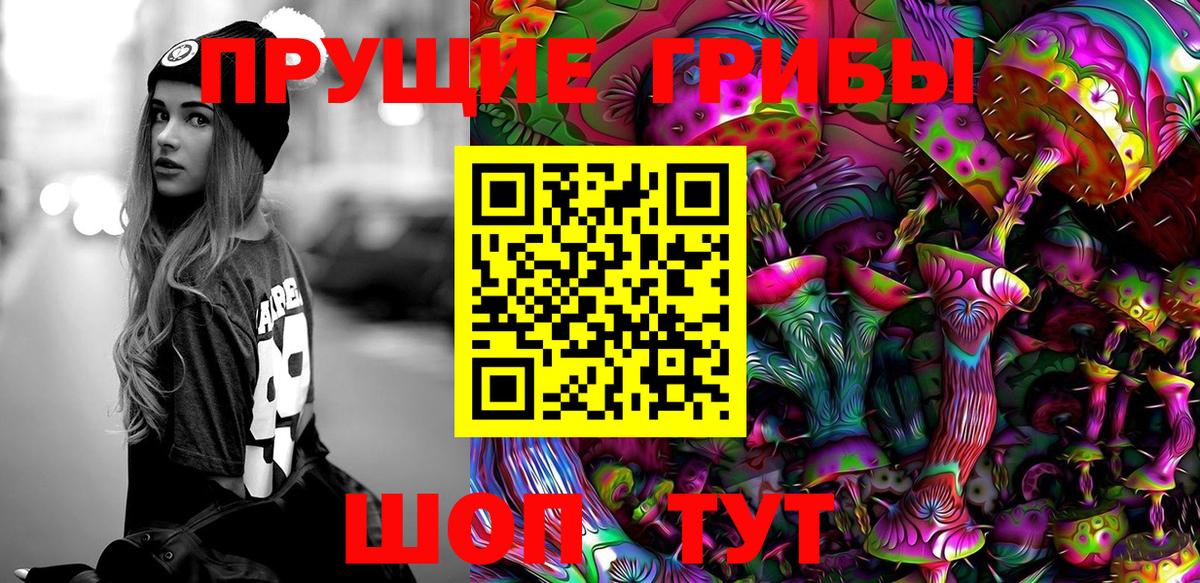 Галлюциногенные грибы Psilocybine cubensis Сергиев Посад
